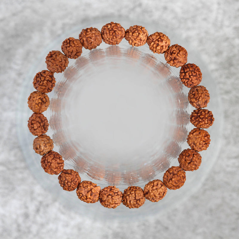 5 Mukhi Rudraksha Seed Stretch Bracelet - BrahmatellsStore