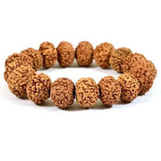 6 Mukhi Rudraksha Bracelet - BrahmatellsStore