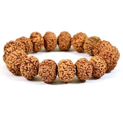6 Mukhi Rudraksha Bracelet - BrahmatellsStore