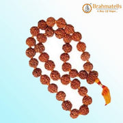 6 Mukhi Rudraksha Mala 108 Beads for Meditation | Brahmatells Spiritual Jewelry - BrahmatellsStore
