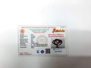 6 Mukhi Rudraksha Mala 108 Beads for Meditation | Brahmatells Spiritual Jewelry - BrahmatellsStore