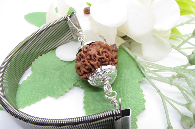 6 Mukhi Rudraksha Wisdom Bracelet | Brahmatells - BrahmatellsStore