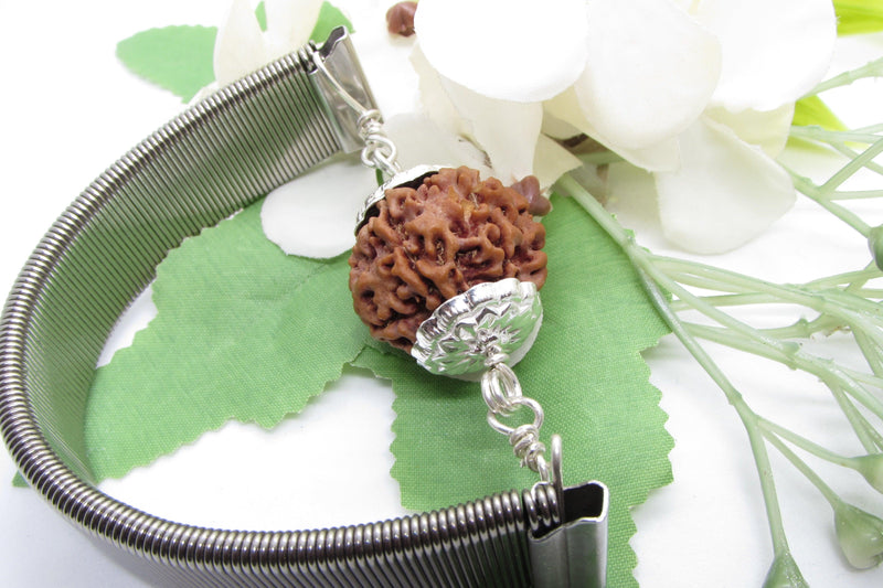 6 Mukhi Rudraksha Wisdom Bracelet | Brahmatells - BrahmatellsStore