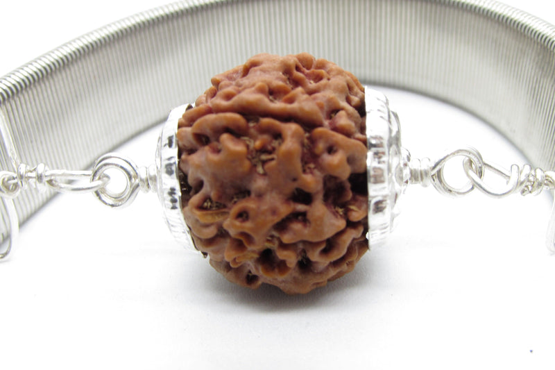 6 Mukhi Rudraksha Wisdom Bracelet | Brahmatells - BrahmatellsStore