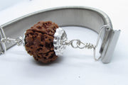 6 Mukhi Rudraksha Wisdom Bracelet | Brahmatells - BrahmatellsStore
