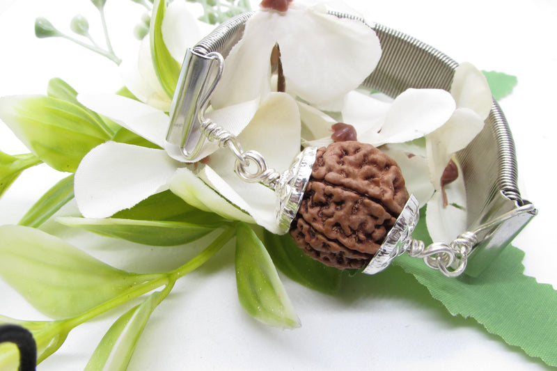 7 Mukhi Rudraksha Bracelet with Silver Pendant - Divine Blessings | Brahmatells - BrahmatellsStore