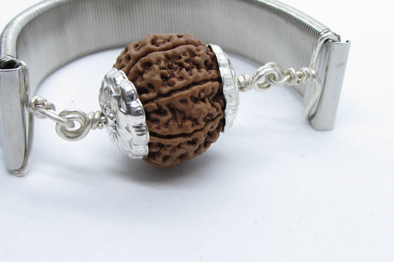 7 Mukhi Rudraksha Bracelet with Silver Pendant - Divine Blessings | Brahmatells - BrahmatellsStore