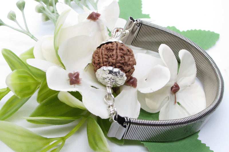 7 Mukhi Rudraksha Bracelet with Silver Pendant - Divine Blessings | Brahmatells - BrahmatellsStore