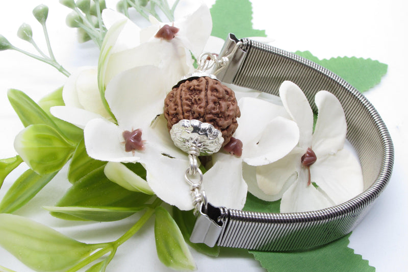 7 Mukhi Rudraksha Bracelet with Silver Pendant - Divine Blessings | Brahmatells - BrahmatellsStore