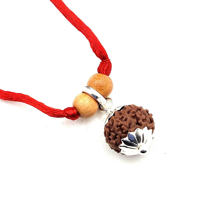 Collector 7 Mukhi Rudraksha Pendant - Prosperity & Health Blessings | Brahmatells - BrahmatellsStore