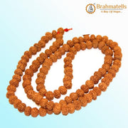 8 Mukhi Rudraksh Mala 108 Beads8 Mukhi Rudraksh Mala for Spiritual Insight & Obstacle Removal | Brahmatells - BrahmatellsStore