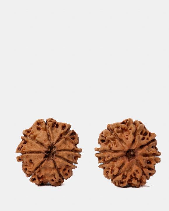 8 Mukhi Rudraksha from Nepal - Pathway to Spiritual Clarity | Brahmatells - BrahmatellsStore