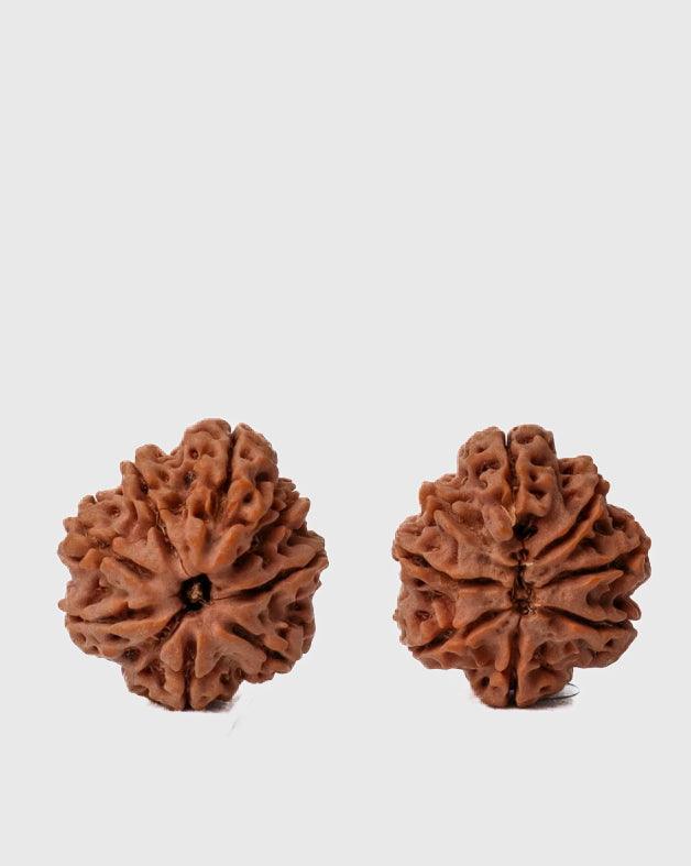 8 Mukhi Rudraksha from Nepal - Pathway to Spiritual Clarity | Brahmatells - BrahmatellsStore