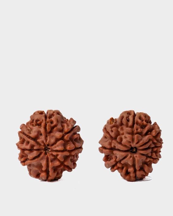 8 Mukhi Rudraksha from Nepal - Pathway to Spiritual Clarity | Brahmatells - BrahmatellsStore