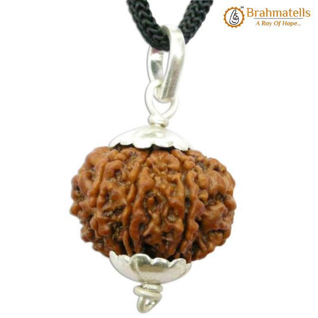 8 Mukhi Rudraksha Pendant - Lord Ganesha's Blessings for Success | Brahmatells - BrahmatellsStore
