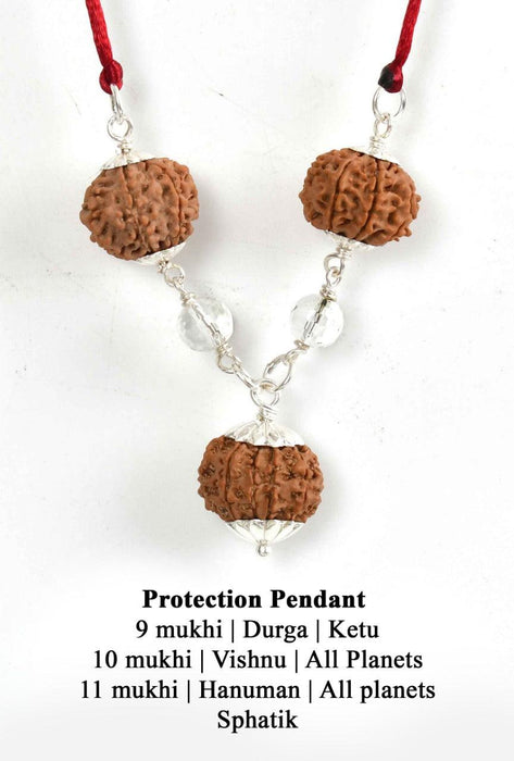 9, 10, 11 Mukhi Rudraksha Protection Pendant - Divine Shield | Brahmatells - BrahmatellsStore