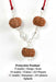 9, 10, 11 Mukhi Rudraksha Protection Pendant - Divine Shield | Brahmatells - BrahmatellsStore