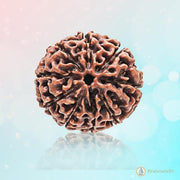 9 Mukhi Round Rudraksha - Embrace Goddess Durga's Power | Brahmatells - BrahmatellsStore