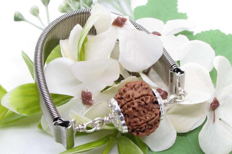 9 Mukhi Rudraksha Bracelet with Silver Pendant - Empowerment & Protection | Brahmatells - BrahmatellsStore