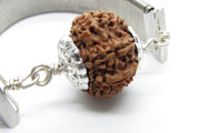 9 Mukhi Rudraksha Bracelet with Silver Pendant - Empowerment & Protection | Brahmatells - BrahmatellsStore