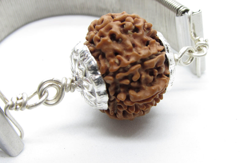 9 Mukhi Rudraksha Bracelet with Silver Pendant - Empowerment & Protection | Brahmatells - BrahmatellsStore