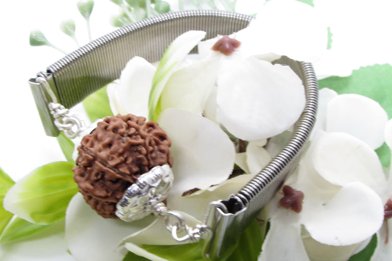 9 Mukhi Rudraksha Bracelet with Silver Pendant - Empowerment & Protection | Brahmatells - BrahmatellsStore