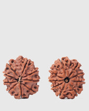 9 Mukhi Rudraksha from Nepal - Unleash Your Inner Warrior | Brahmatells - BrahmatellsStore