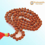 9 Mukhi Rudraksha Mala 108 Beads for Spiritual Growth | Brahmatells - BrahmatellsStore