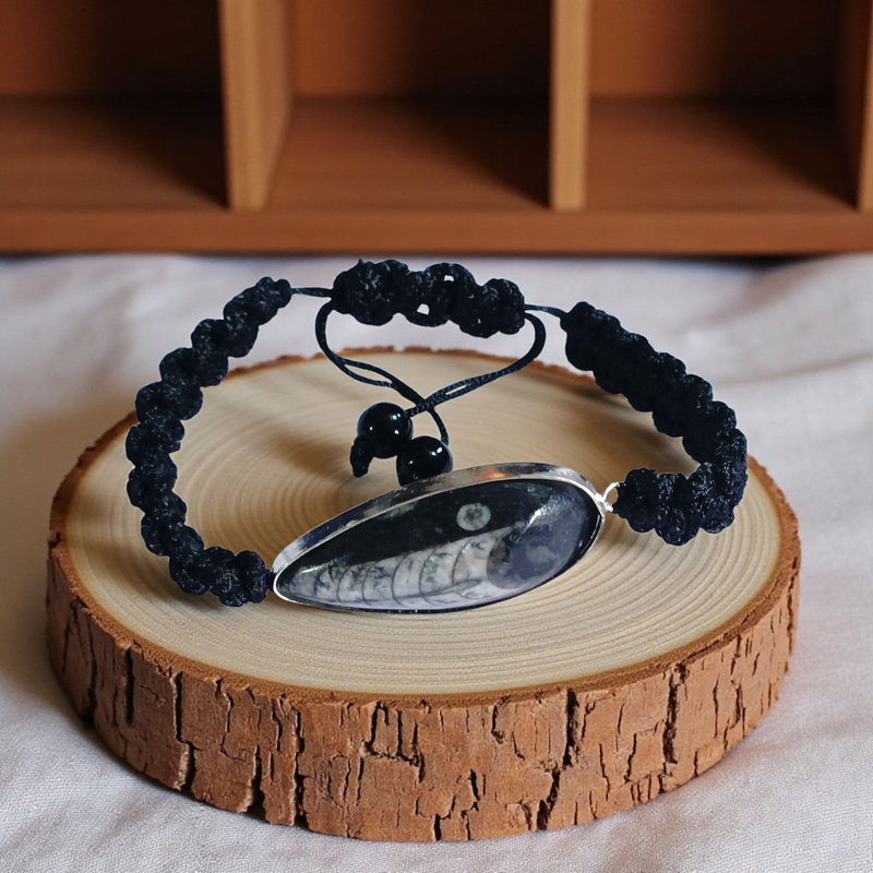 Orthoceras Fossil Band Bracelet – Brahmatells