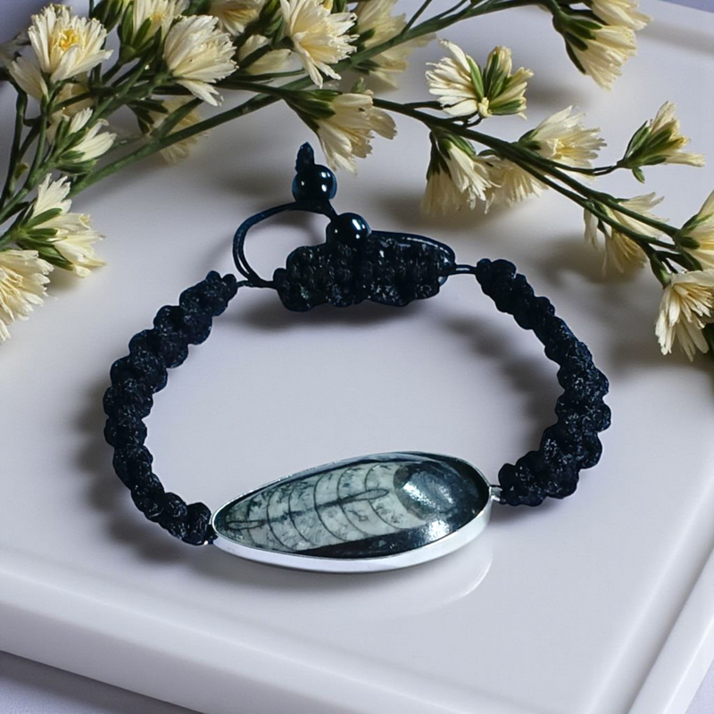Orthoceras Fossil Band Bracelet – Brahmatells