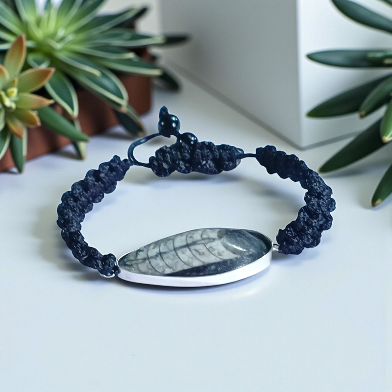 Orthoceras Fossil Band Bracelet – Brahmatells
