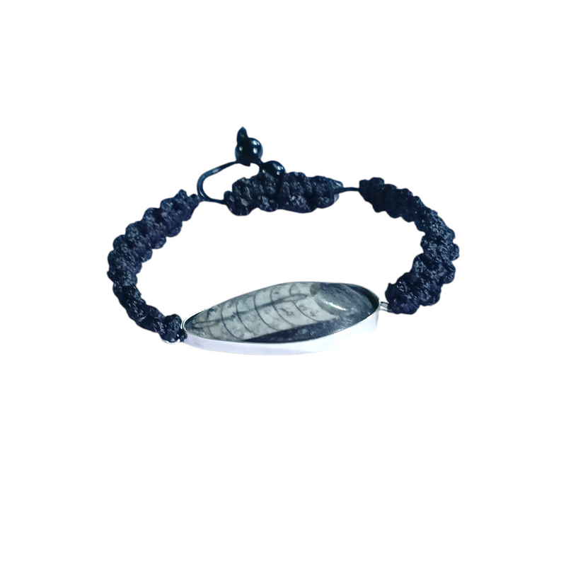 Orthoceras Fossil Band Bracelet – Brahmatells