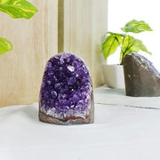 Amethyst Cluster Raw Stone for Home Décor | Brahmatells - BrahmatellsStore