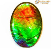 Ammolite - BrahmatellsStore