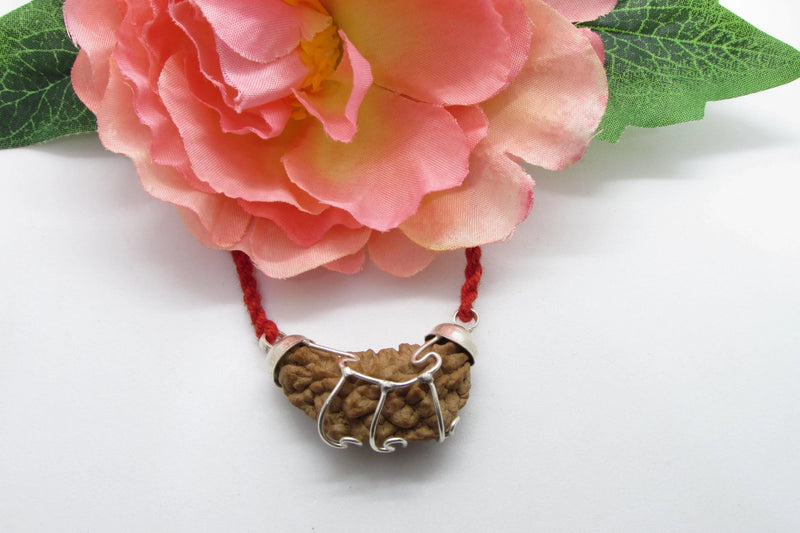 Aquarius One Mukhi Rudraksha - Astrological Harmony Pendant | Brahmatells - BrahmatellsStore