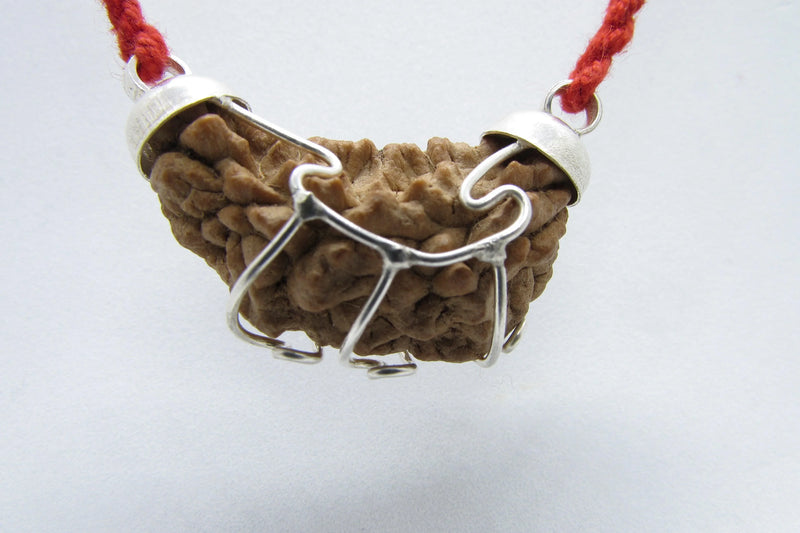Aquarius One Mukhi Rudraksha - Astrological Harmony Pendant | Brahmatells - BrahmatellsStore