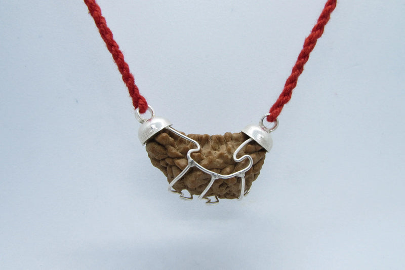 Aquarius One Mukhi Rudraksha - Astrological Harmony Pendant | Brahmatells - BrahmatellsStore