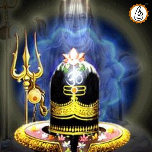 Ati Rudra Maha Yajna: Divine Vedic Ceremony | Brahmatells - BrahmatellsStore