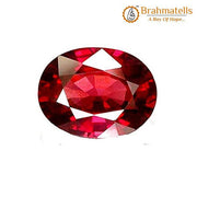 Australian Ruby 'Manik' - Sun's Radiant Gem | Brahmatells - BrahmatellsStore