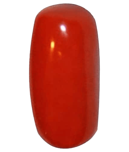 Authentic Italian Red Coral Gemstone - Empower Your Mars | Brahmatells - BrahmatellsStore