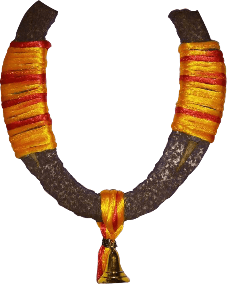 Black-horse-shoe-kaale-ghode-ki-naal-mantra-siddh - BrahmatellsStore