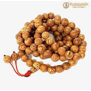 Bodhi Seed Mala for Meditation - Authentic Beads | Brahmatells - BrahmatellsStore