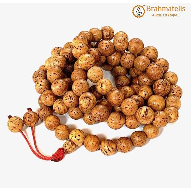 Bodhi Seed Mala for Meditation - Authentic Beads | Brahmatells - BrahmatellsStore