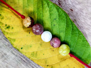 Born In June - BrahmatellsStore