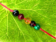 Born In May - BrahmatellsStore