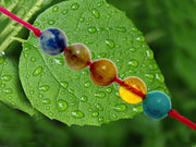 Born In November - BrahmatellsStore