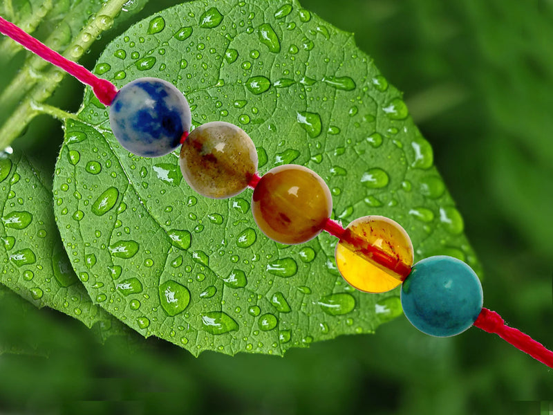 Born In November - BrahmatellsStore