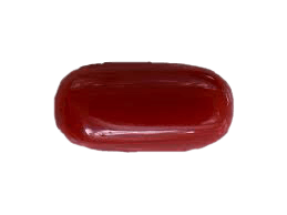 Brahmatells Red Coral Capsule-Blood-Red: Mars-Inspired Gemstone for Resilience - BrahmatellsStore