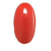 Brahmatells Red Coral Oval-Apple-Red: Mars-Aligned Gemstone for Strength - BrahmatellsStore