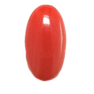 Brahmatells Red Coral Oval-Apple-Red: Mars-Aligned Gemstone for Strength - BrahmatellsStore